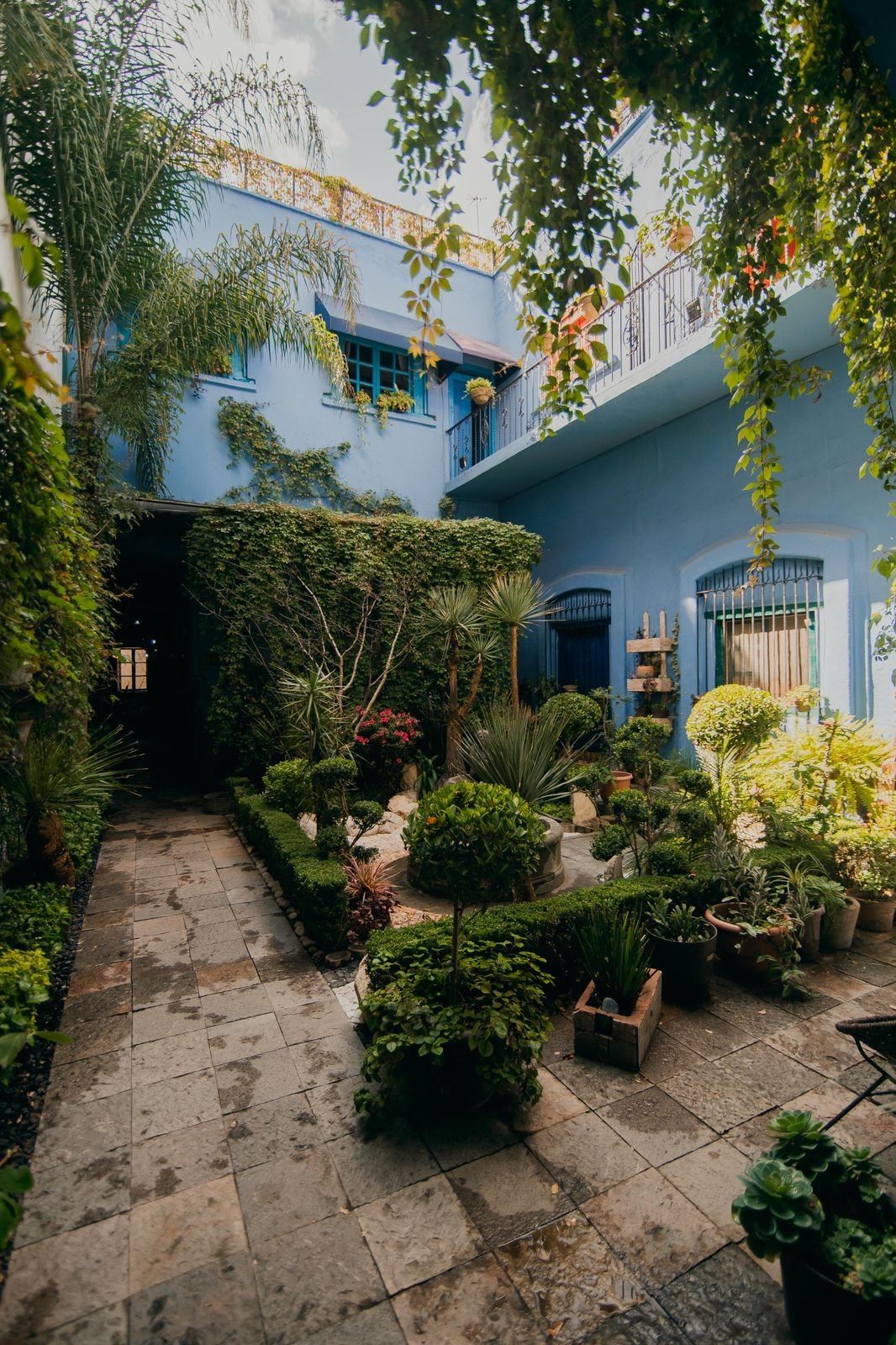 jardin interior Jardin Interior