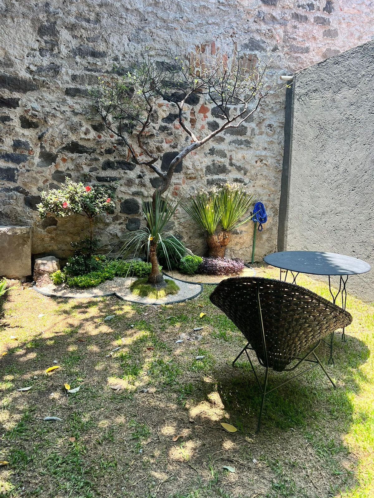 patio Patio