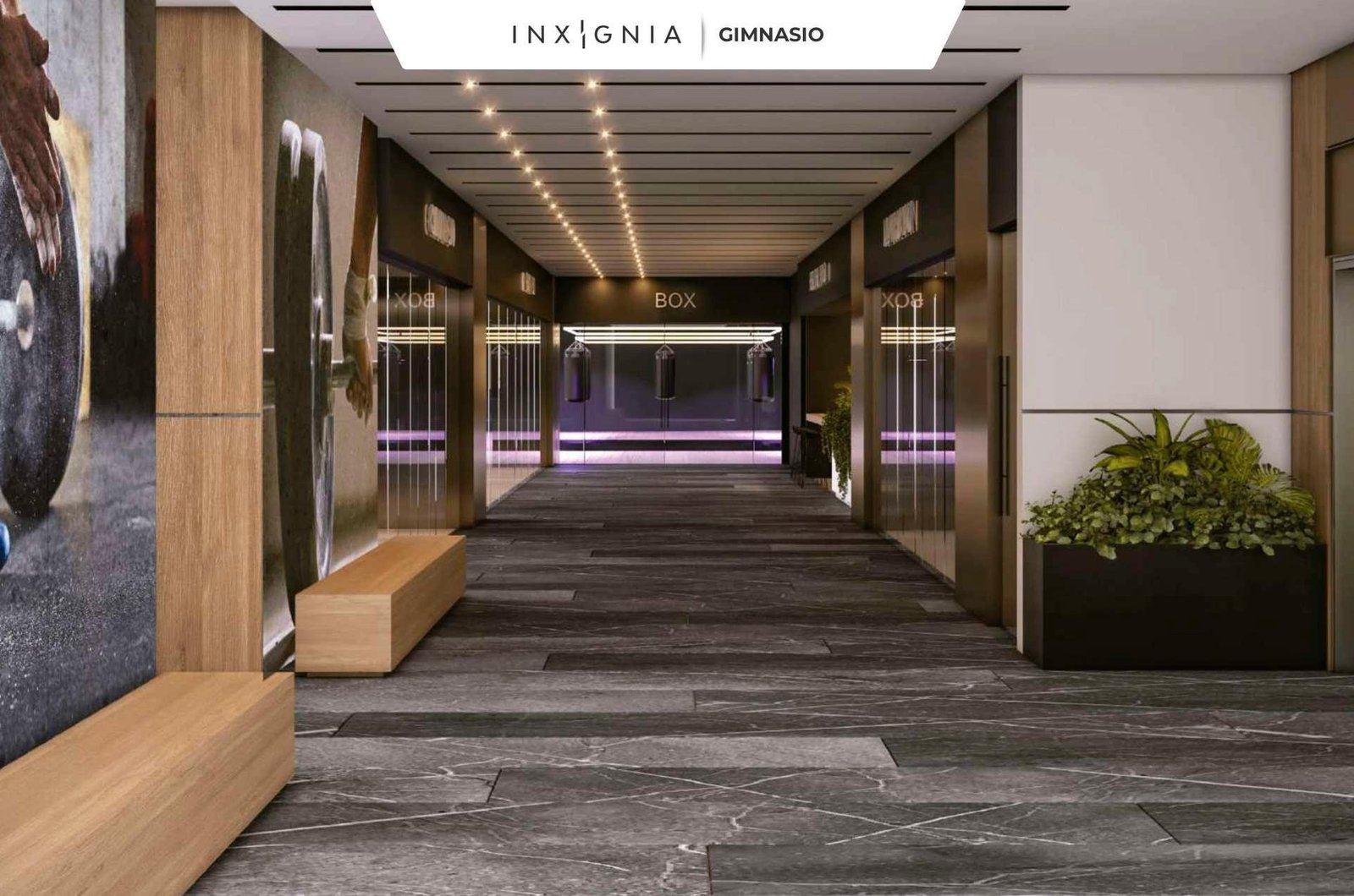 10. OFICINAS TORRE INXIGNIA 10. Oficinas Torre Inxignia