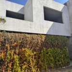 venta-de-casa-en-obra-negra-en-colonial-santa-cecilia-san-martinito