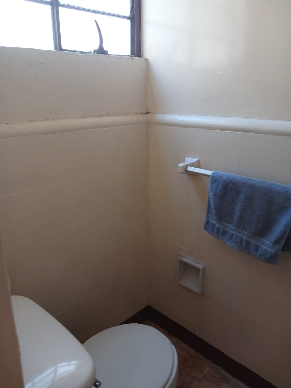 baño 1 Baño 1