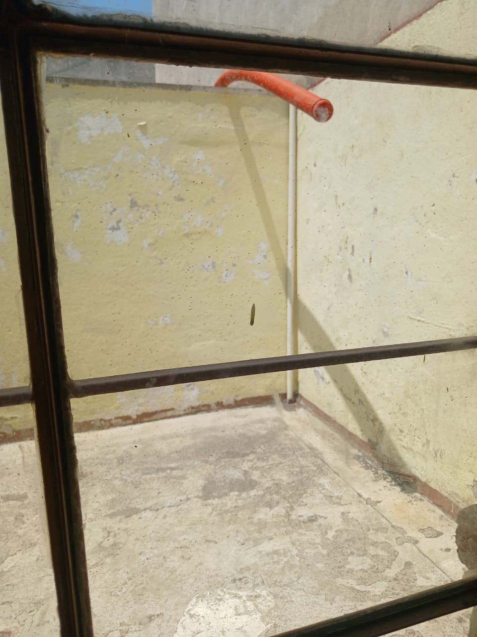 patio serv Patio Serv