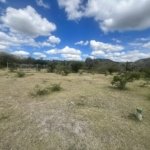 Img 20240110 Wa0022