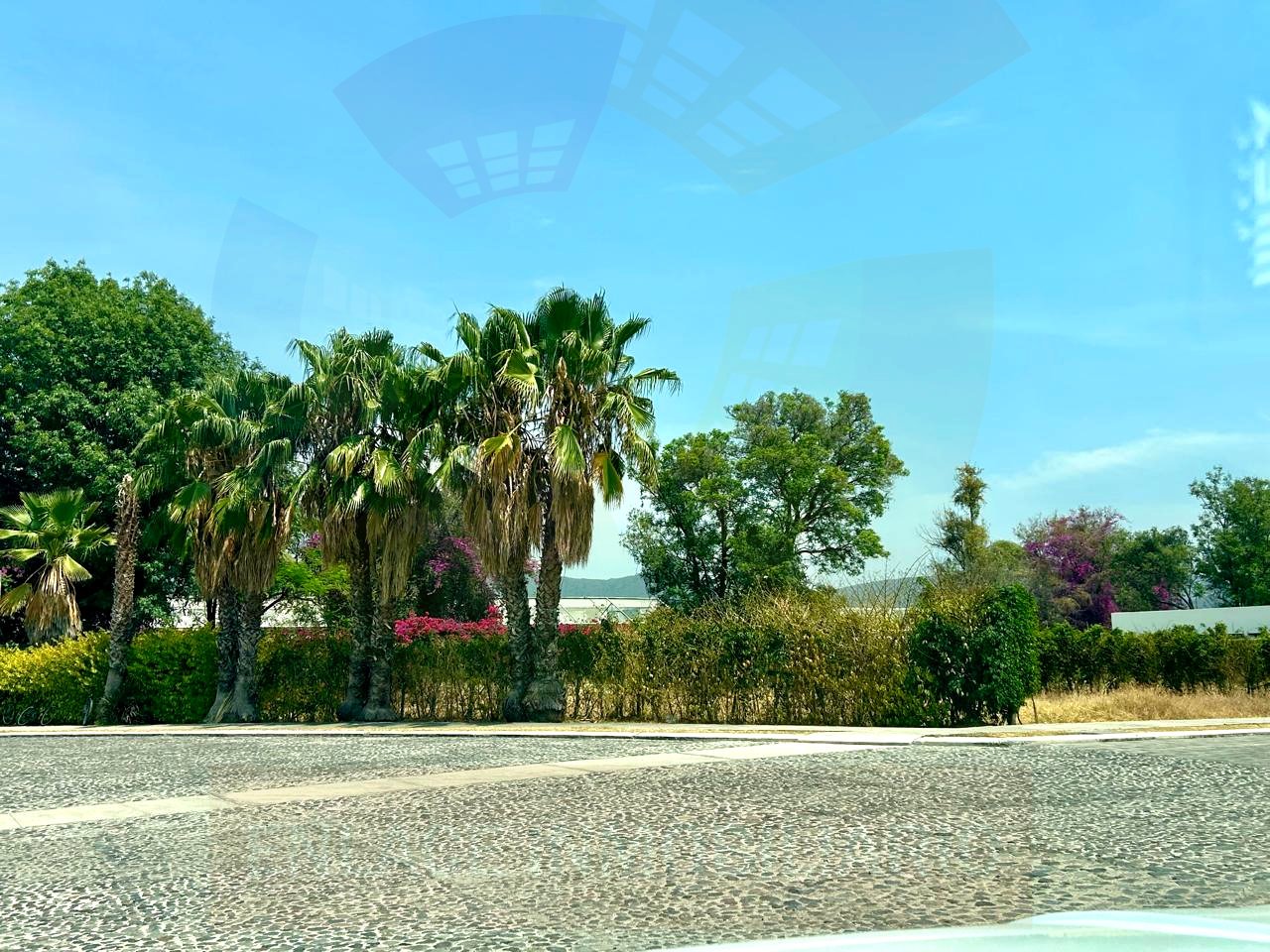 TERRENO EL FRESNO (3)