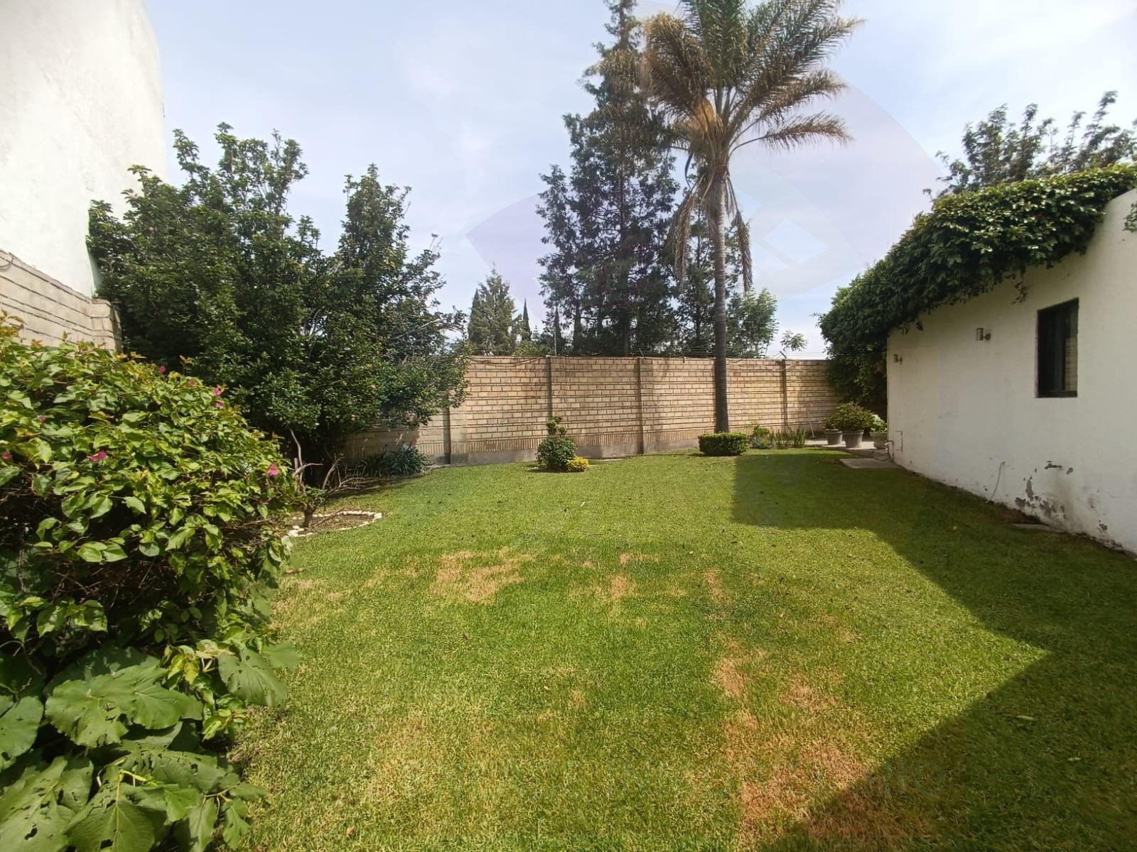 TERRENO SAN MARTIN (10)