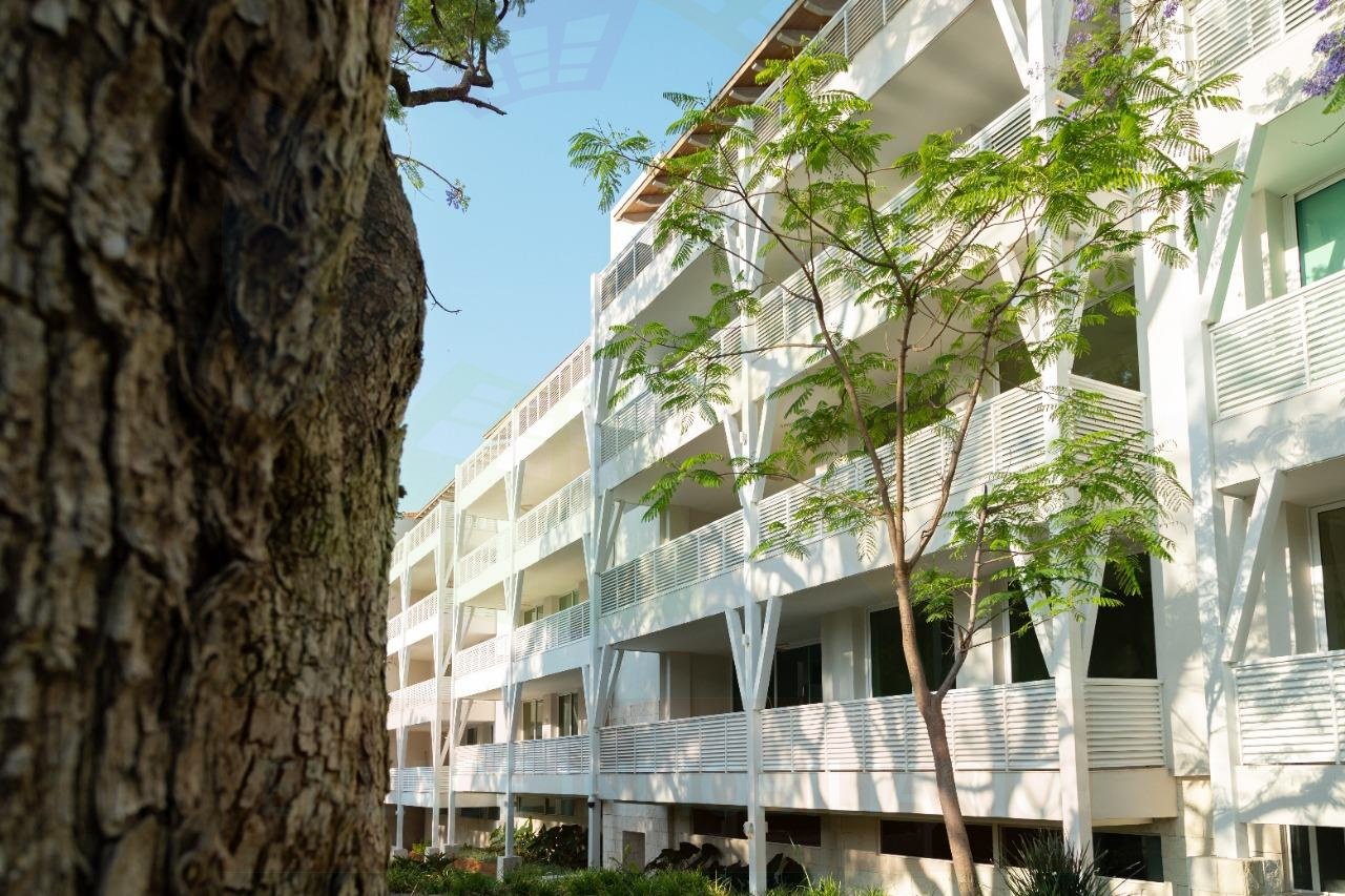 CASA CAMELINAS (3)